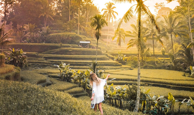 All You Need to Know About Tegalalang Rice Terrace in Ubud Bali