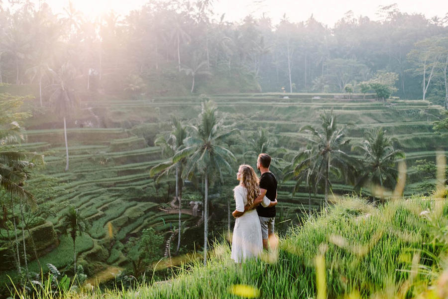 Tegalalang Rice Terraces