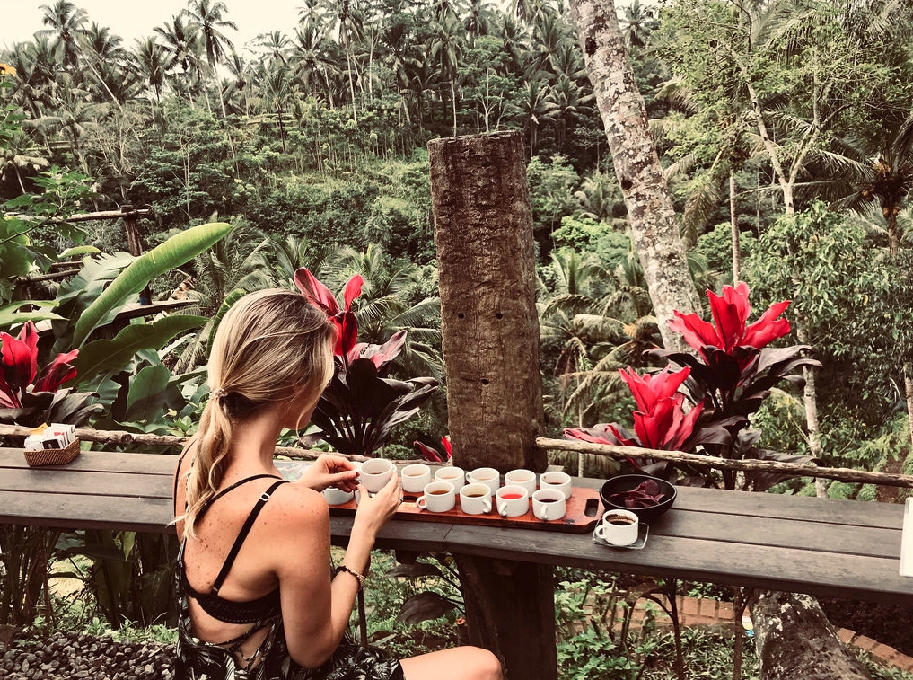 Coffee Testing in Bali