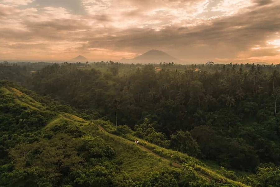 Campuhan Ridge Walk in Ubud