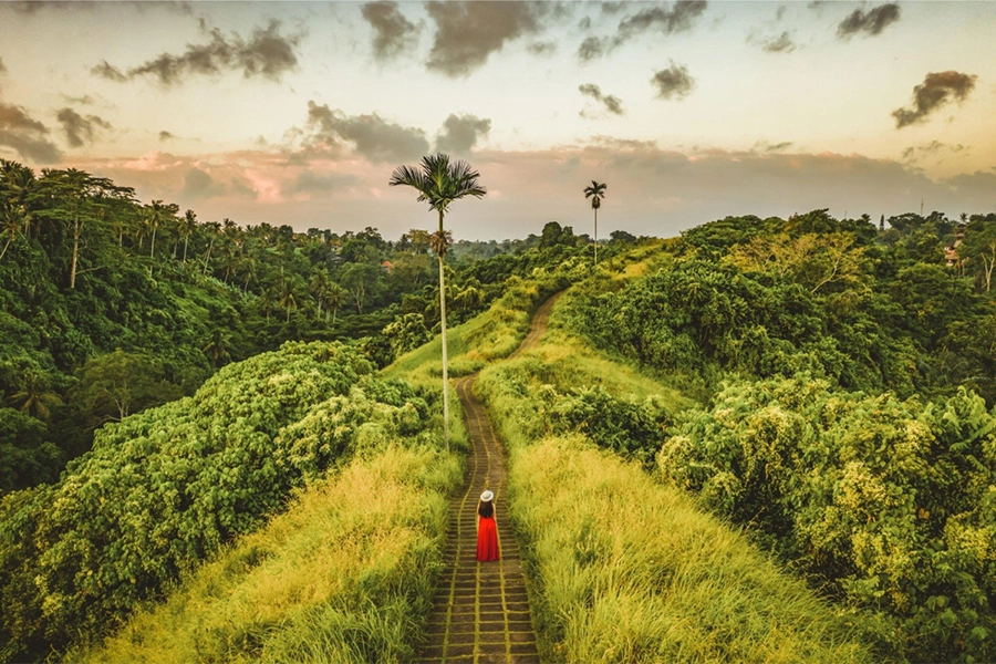 Campuhan Ridge Walk in Ubud