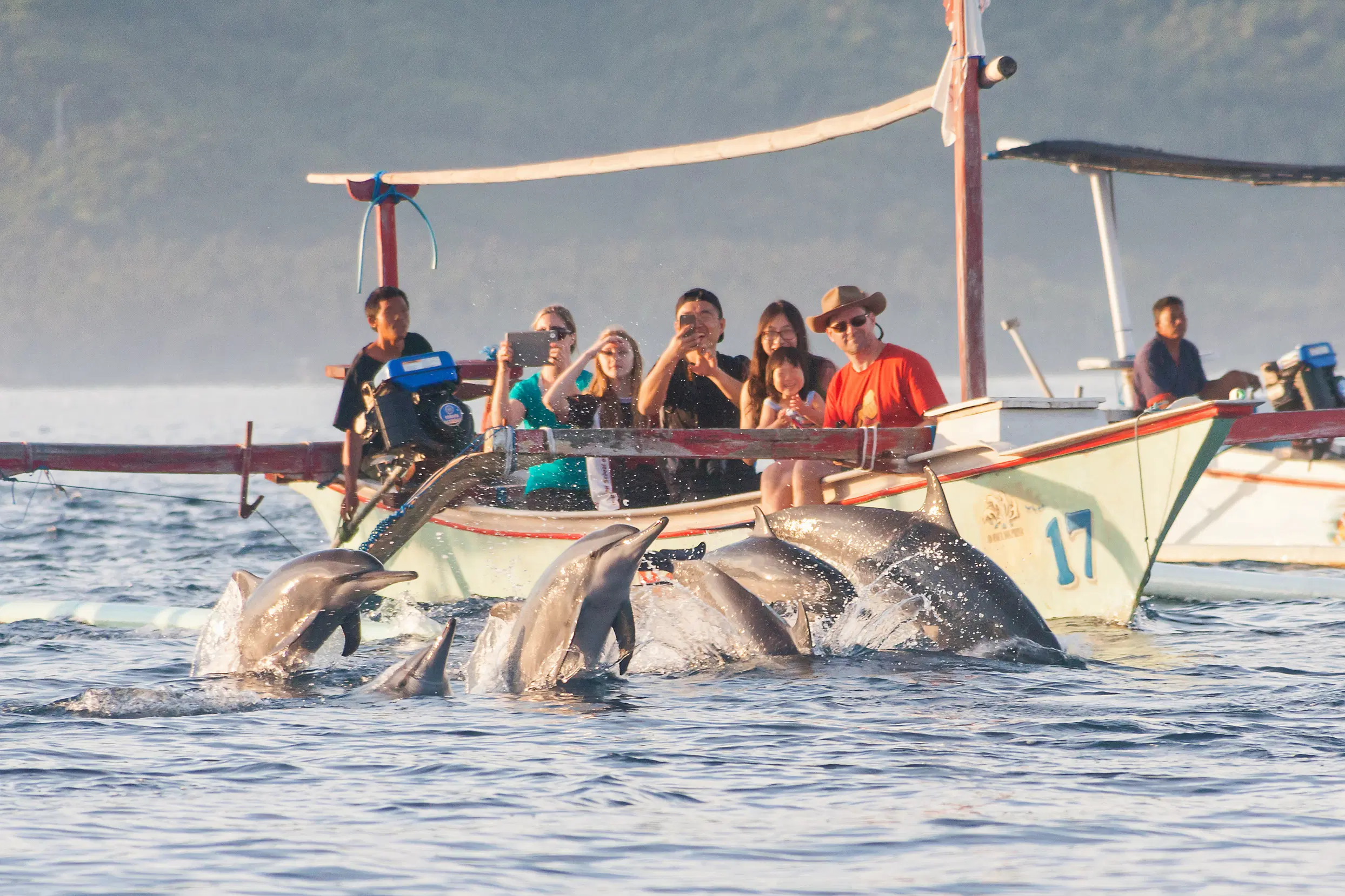 Dolphin Watching Tour