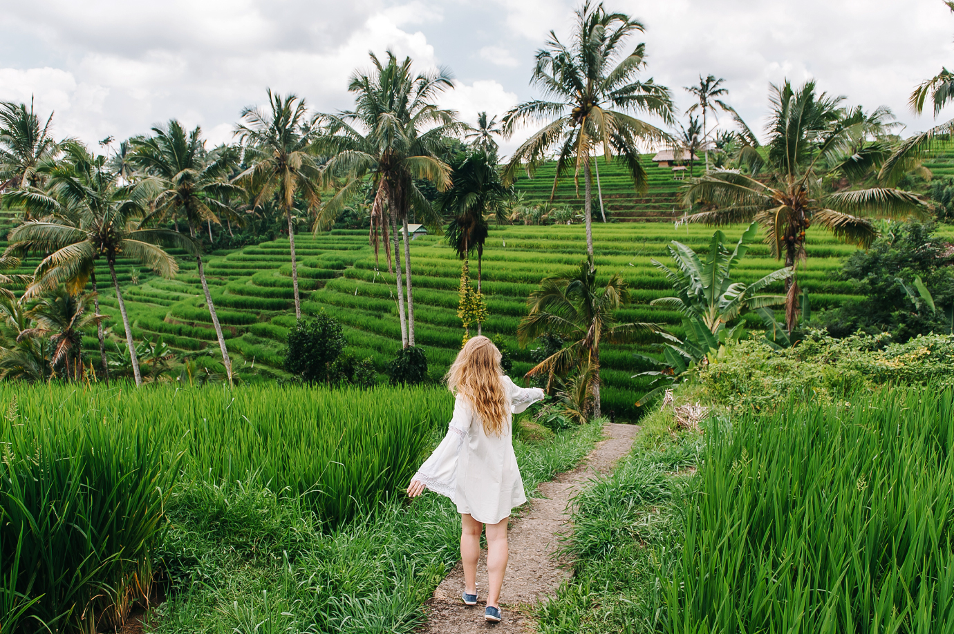 Jatiluwih Rice Terrace