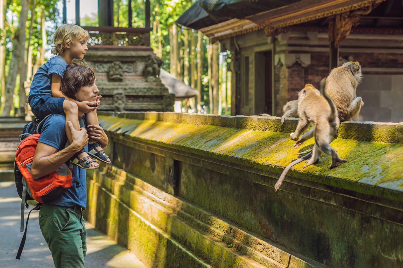 Ubud Monkey Forest Entrance