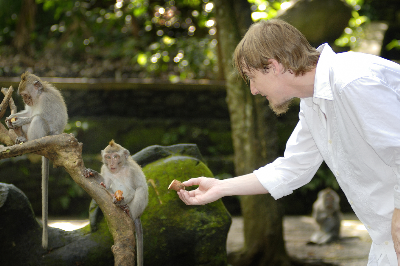 Ubud Monkey Forest