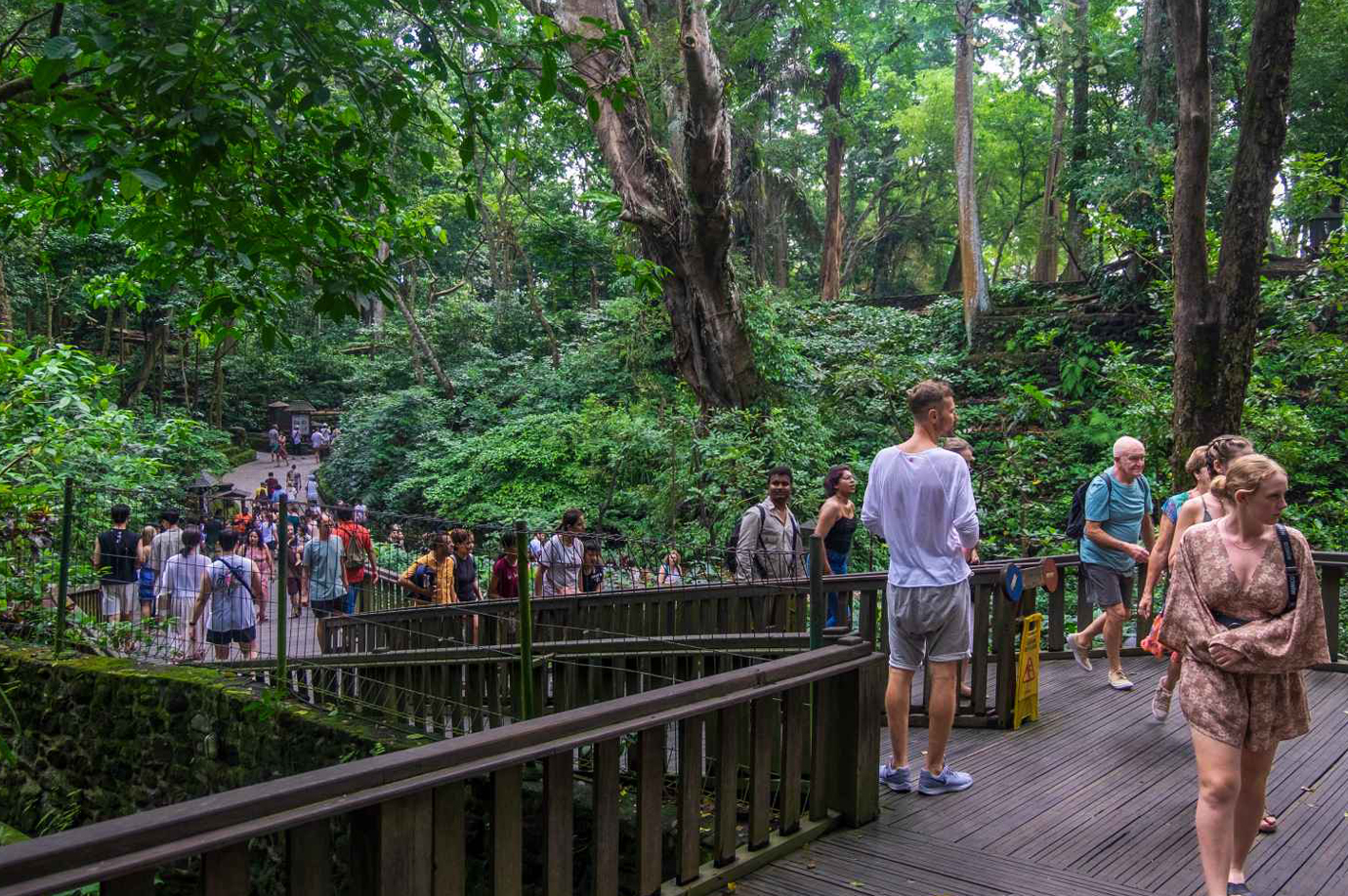 Ubud Monkey Forest