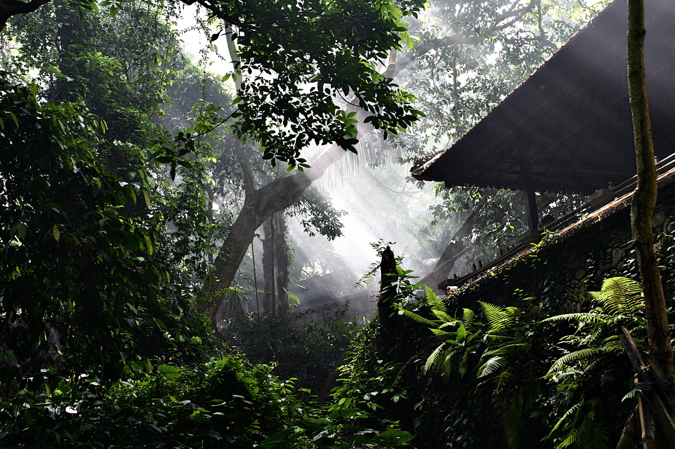 Ubud Monkey Forest