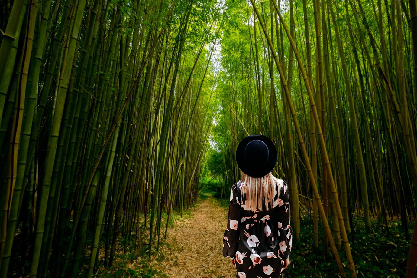 Bamboo Forest in Penglipuran Village