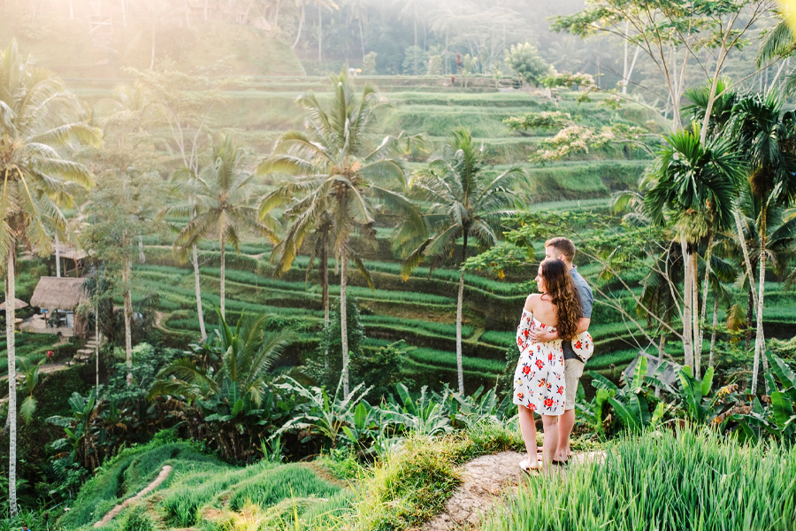 Tegalalang Rice Terrace