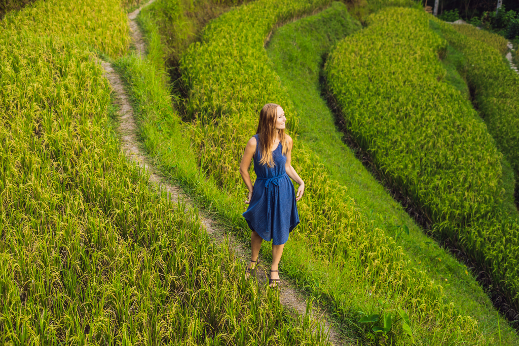 Tegalalang Rice Terrace