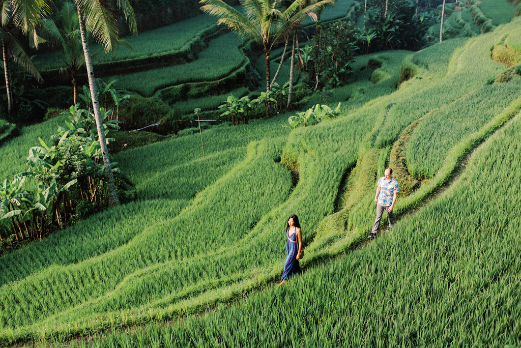 Tegalalang Rice Terrce in bali