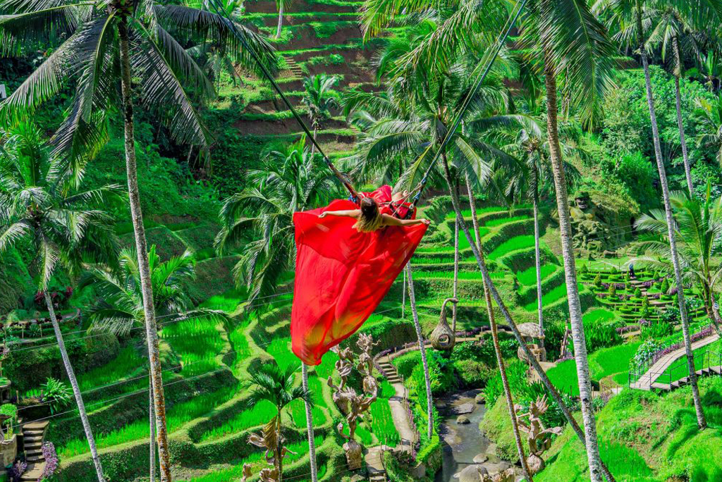 Swing in Tegalalang Rice Terrace